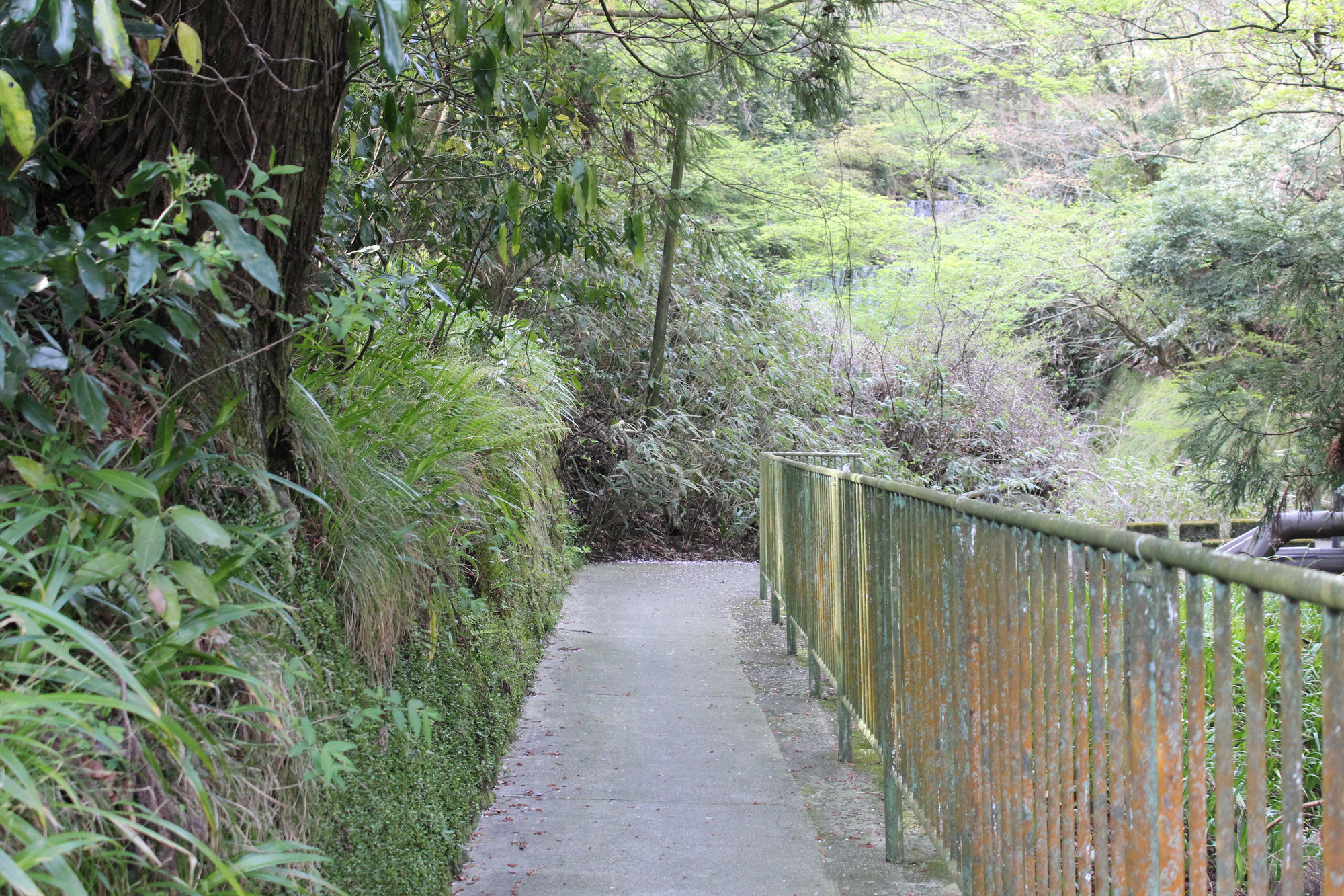 Hakone Guesthouse Toi Luaran gambar