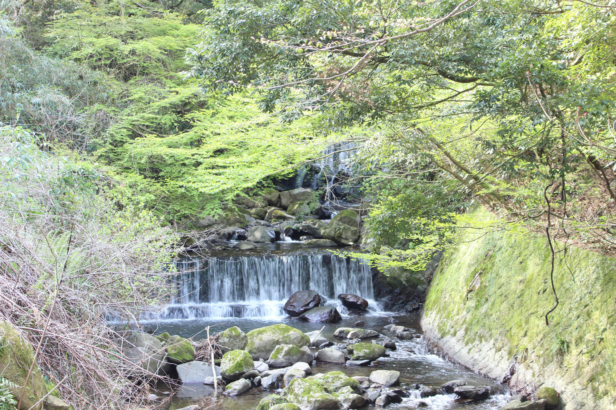 Hakone Guesthouse Toi Luaran gambar