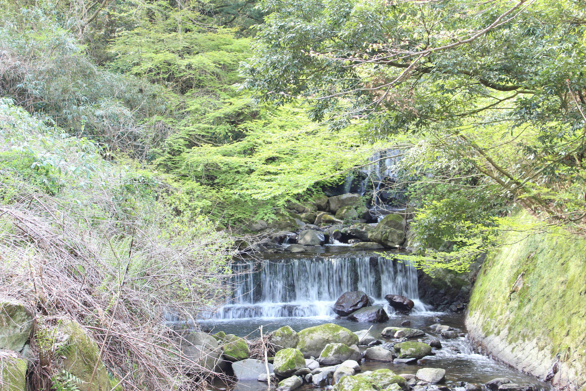 Hakone Guesthouse Toi Luaran gambar